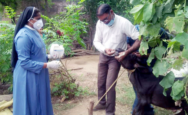 Animal Health Camp at Timarpur